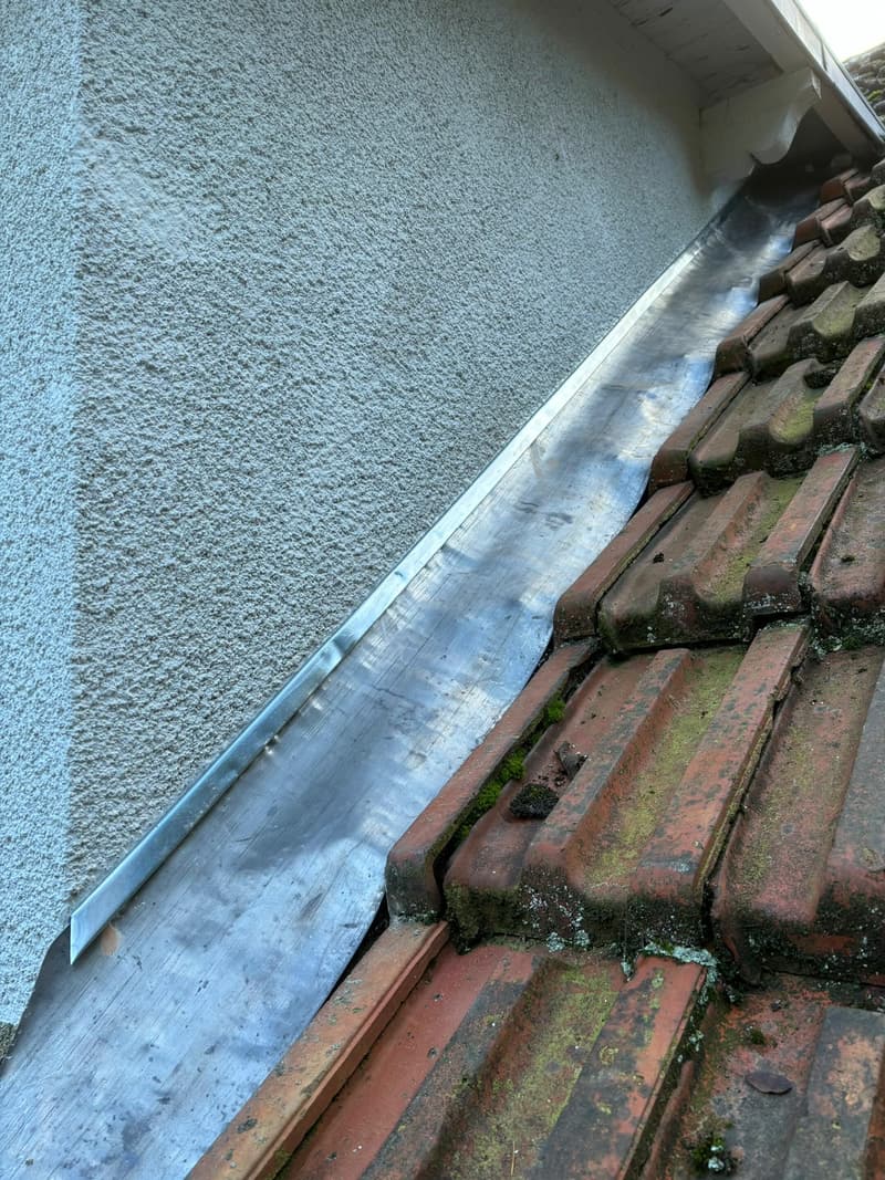 Tuiles couvertes de mousse le long d’une bande de zinc, avant traitement
